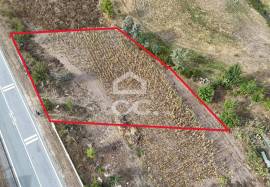 Plot near the Dam