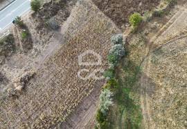 Plot near the Dam