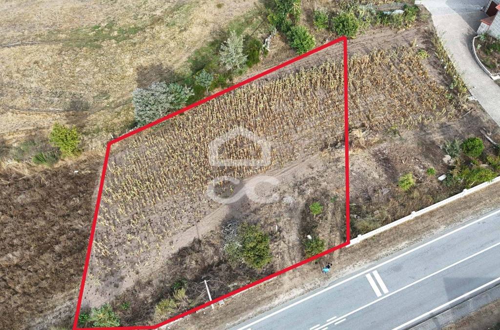 Plot near the Dam