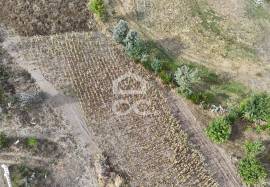 Plot near the Dam