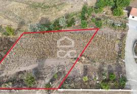 Plot near the Dam