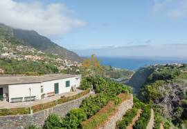 Land in Faial with Unique Potential with 11,605m² Land in Faial with Unique Potential with 11,605m²