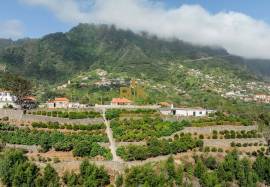 Land in Faial with Unique Potential with 11,605m² Land in Faial with Unique Potential with 11,605m²