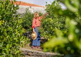 Land in Faial with Unique Potential with 11,605m² Land in Faial with Unique Potential with 11,605m²