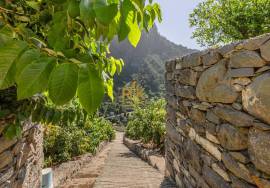 Land in Faial with Unique Potential with 11,605m² Land in Faial with Unique Potential with 11,605m²