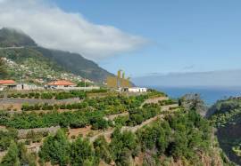 Land in Faial with Unique Potential with 11,605m² Land in Faial with Unique Potential with 11,605m²