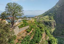 Land in Faial with Unique Potential with 11,605m² Land in Faial with Unique Potential with 11,605m²