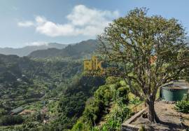 Land in Faial with Unique Potential with 11,605m² Land in Faial with Unique Potential with 11,605m²