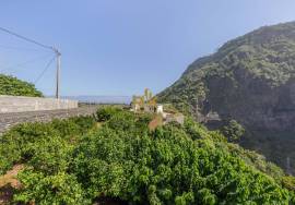 Land in Faial with Unique Potential with 11,605m² Land in Faial with Unique Potential with 11,605m²