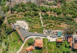 Land in Faial with Unique Potential with 11,605m² Land in Faial with Unique Potential with 11,605m²