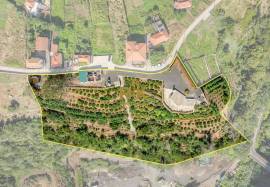 Land in Faial with Unique Potential with 11,605m² Land in Faial with Unique Potential with 11,605m²