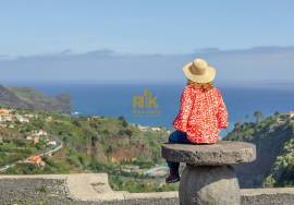 Land in Faial with Unique Potential with 11,605m² Land in Faial with Unique Potential with 11,605m²