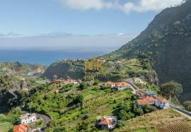 Land in Faial with Unique Potential with 11,605m² Land in Faial with Unique Potential with 11,605m²