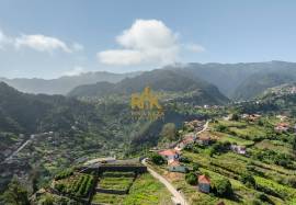 Land in Faial with Unique Potential with 11,605m² Land in Faial with Unique Potential with 11,605m²