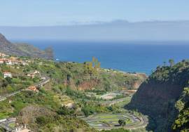 Land in Faial with Unique Potential with 11,605m² Land in Faial with Unique Potential with 11,605m²