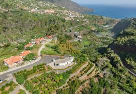 Land in Faial with Unique Potential with 11,605m²