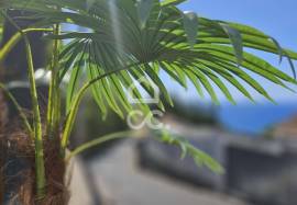 2 Bedroom Villa - Povoação 2 Bedroom Villa - Povoação