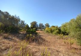 Development Opportunity