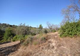 Development Opportunity