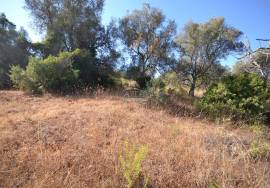 Development Opportunity