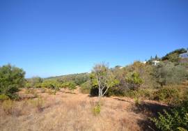 Development Opportunity