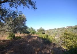 Development Opportunity