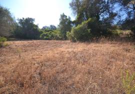 Development Opportunity