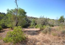 Development Opportunity