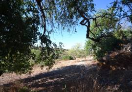 Development Opportunity