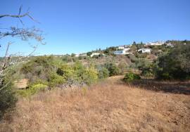 Development Opportunity