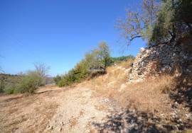 Development Opportunity