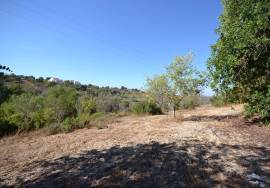 Development Opportunity