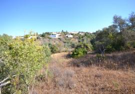 Development Opportunity