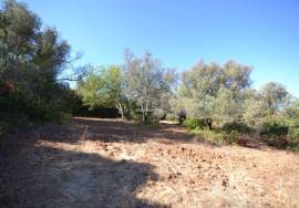 Development Opportunity