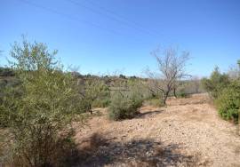 Development Opportunity