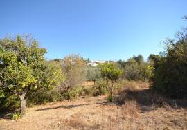 Development Opportunity