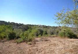 Development Opportunity