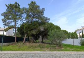 Land with Planning for Sale in Varandas do Lago