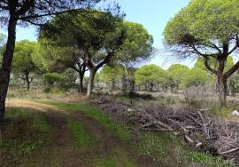 Land with Planning for Sale in Varandas do Lago