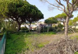 Villas Alvas Plot: Perfect for Building