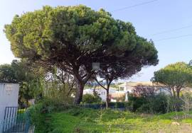 Villas Alvas Plot: Perfect for Building