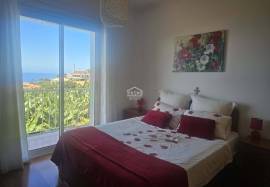 Dream Villa in Arco da Calheta Dream Villa in Arco da Calheta
