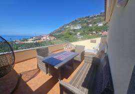 Dream Villa in Arco da Calheta Dream Villa in Arco da Calheta