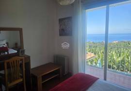 Dream Villa in Arco da Calheta Dream Villa in Arco da Calheta