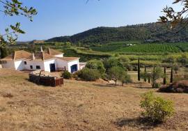 Long-Term Rental – 3-Bedroom Countryside Villa Near Tavira Available for 1-Year Lease Long-Term Rental – 3-Bedroom Countryside Villa Near Tavira Available for 1-Year Lease