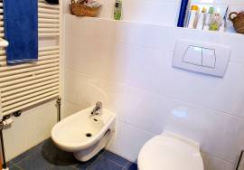 Long-Term Rental – 3-Bedroom Countryside Villa Near Tavira Available for 1-Year Lease Long-Term Rental – 3-Bedroom Countryside Villa Near Tavira Available for 1-Year Lease