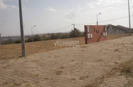 Land Alvito