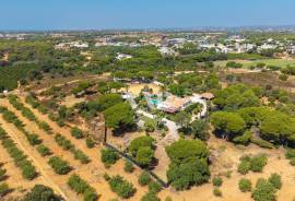 1ha farm with stables and riding arena, Quarteira