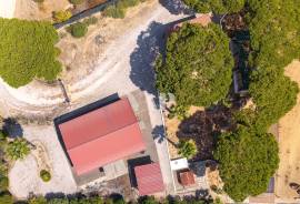 1ha farm with stables and riding arena, Quarteira
