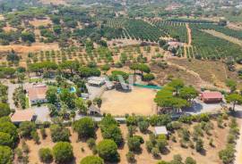 1ha farm with stables and riding arena, Quarteira